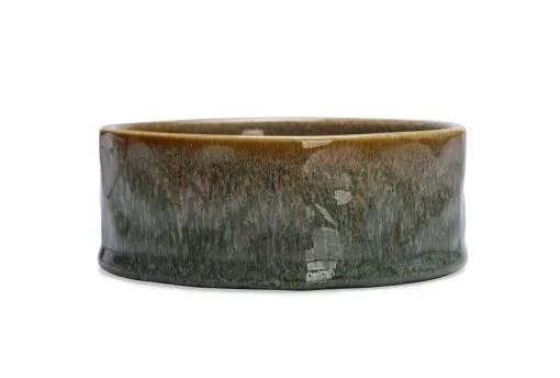 Beeztees Castron din ceramică Jace Green
